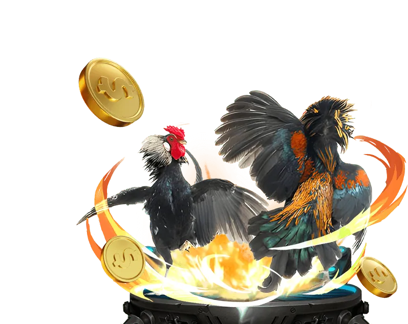 Giới thiệu về new88 cc